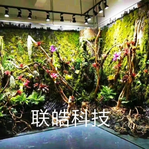 植物墙盆景图